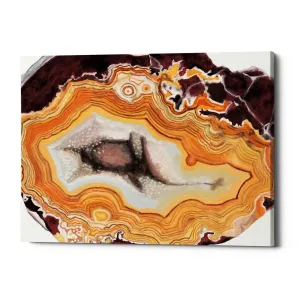 'Agate Studies III" by Naomi McCavitt. McCavitt Giclee Canvas Wall Art