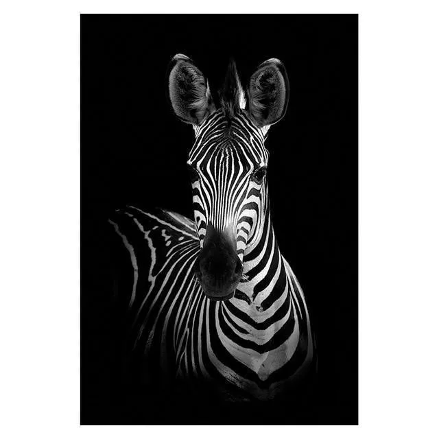 Animals Wall Art Prints