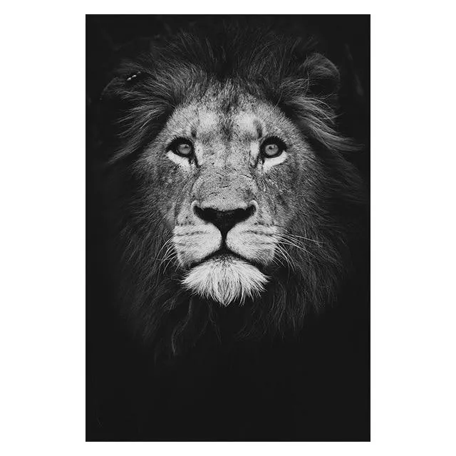 Animals Wall Art Prints