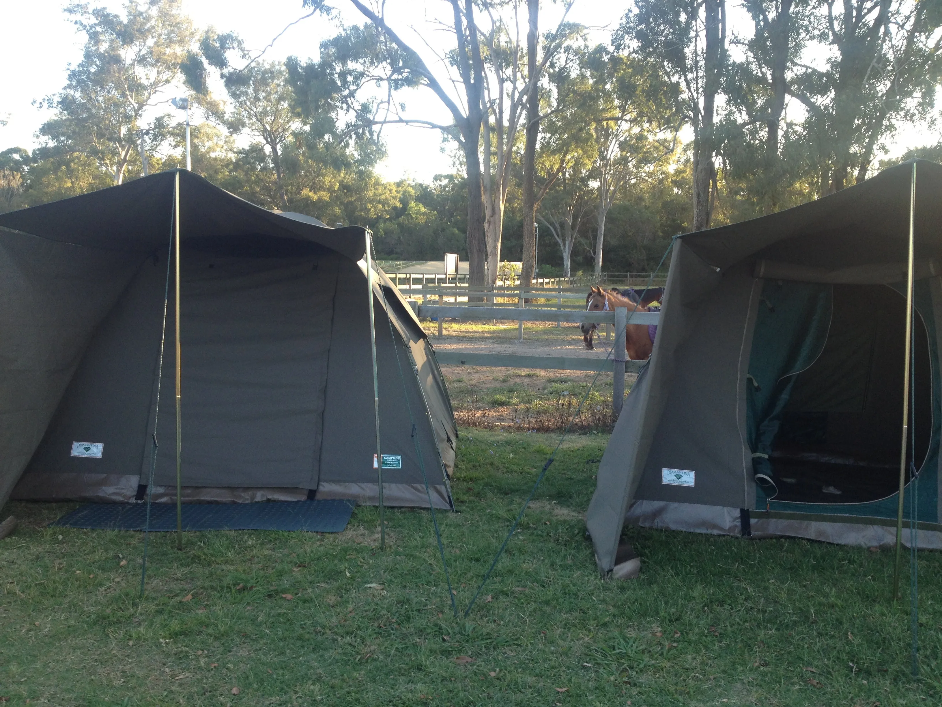 Campmor Safari Bow Tent (4-5 person) Hire