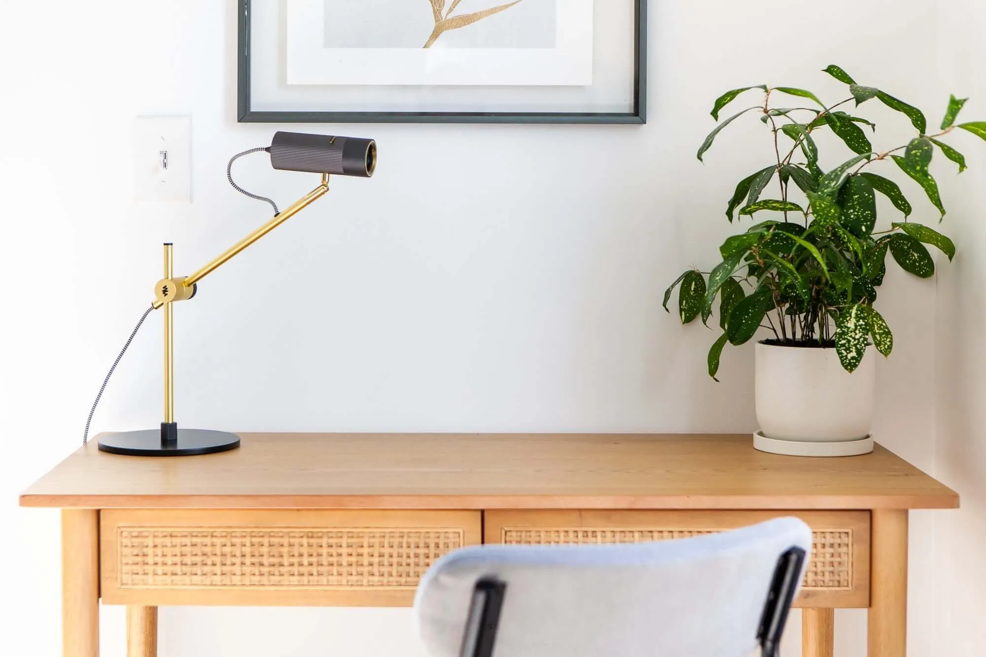 CANVAS Focus Light