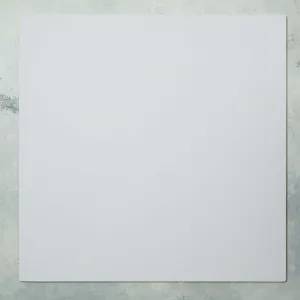 Canvas SURFACE Backdrops - Double-sided Neutral White and Gray