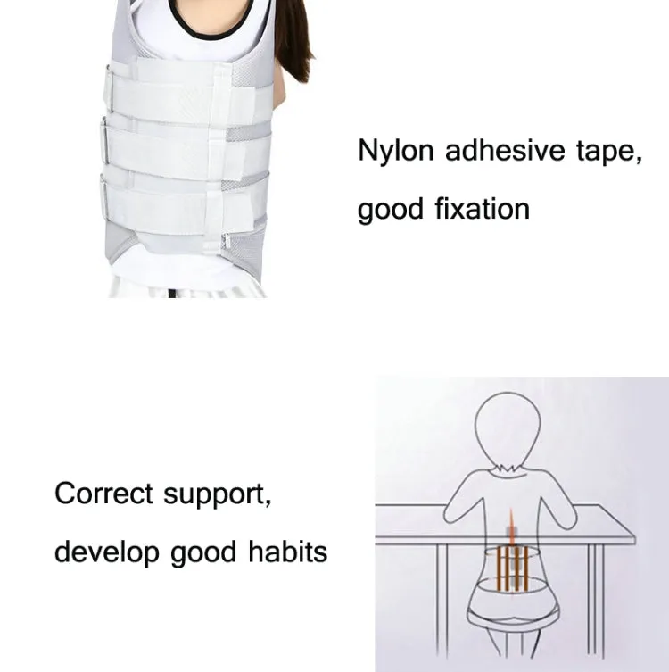 Regular Style Thoracolumbar Fixation Belt Strap Type Protective Gear Without Airbag, Specification: L