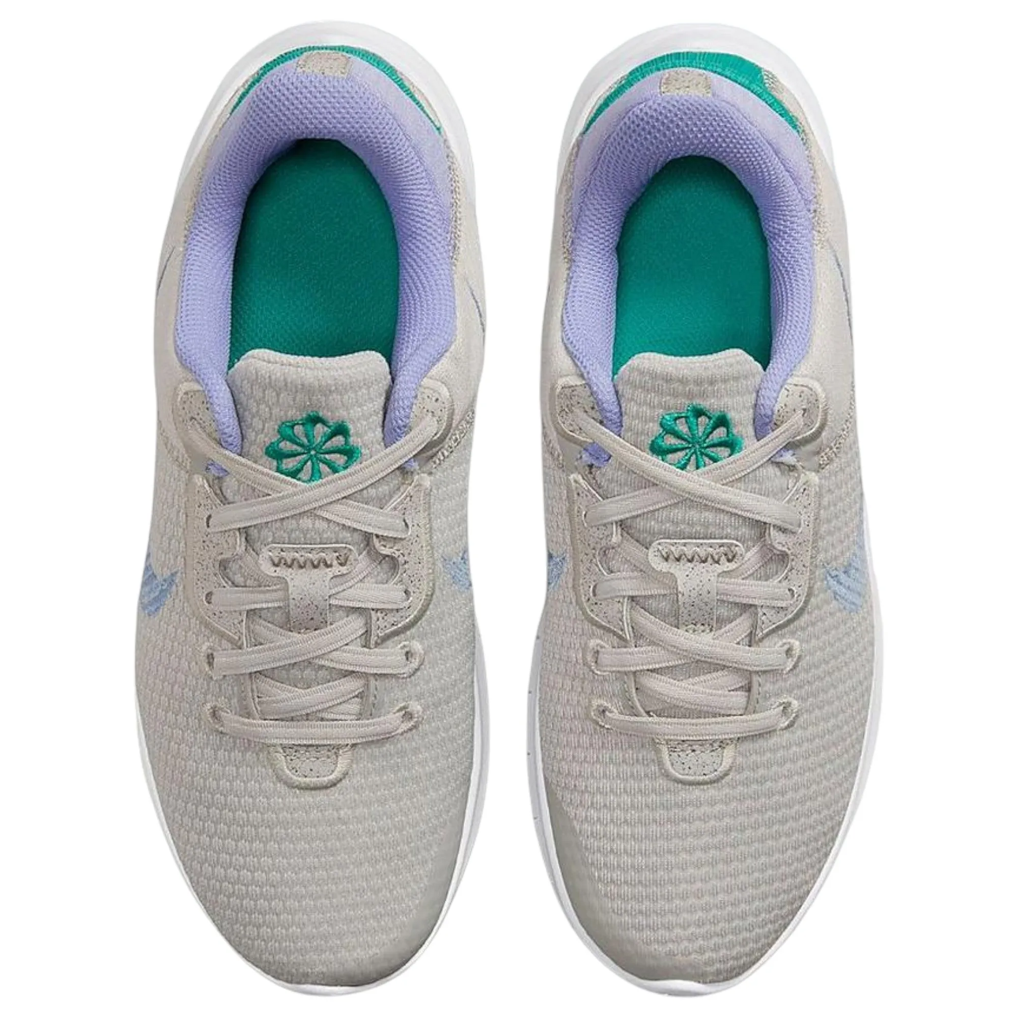 Womens Nike Flex Experience Run 11 Next Nature Light Iron Ore Running Shoes